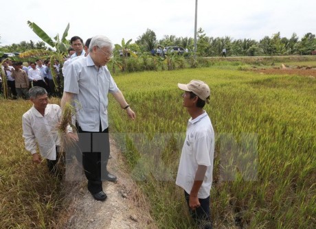 Tổng Bí thư Nguyễn Phú Trọng làm việc tại tỉnh Bến Tre - ảnh 1